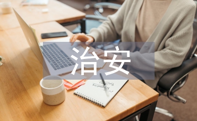 治安治理工作經驗總結