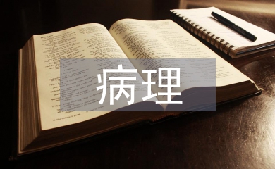 病理醫生工作總結