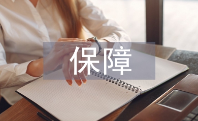 網絡經濟下人力資源保障研究