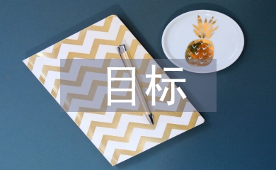 經(jīng)營戰(zhàn)略及目標(biāo)