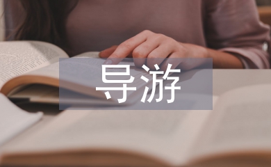 導游年度總結