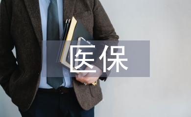 醫保資金論文