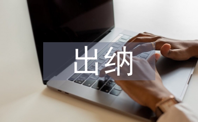 出納年度總結
