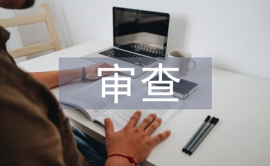 審查調查存在問題