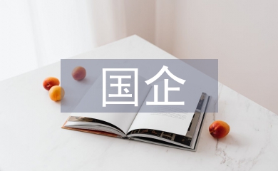 國企人力資源的開發和管理策略