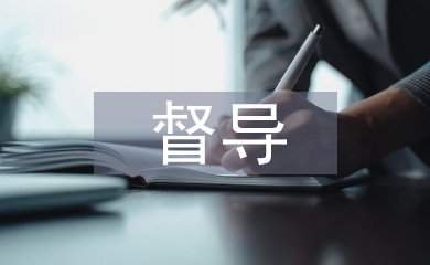 督導匯報材料