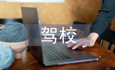 駕校上半年工作總結