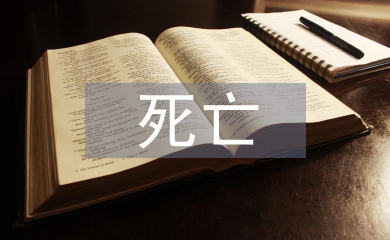 死亡病人護(hù)士長總結(jié)