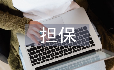擔保申報材料
