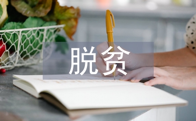 村級(jí)脫貧攻堅(jiān)方案
