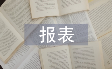 財務分析報表論文